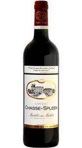 Chasse Spleen / Moulis en Médoc 
  2021 75cl